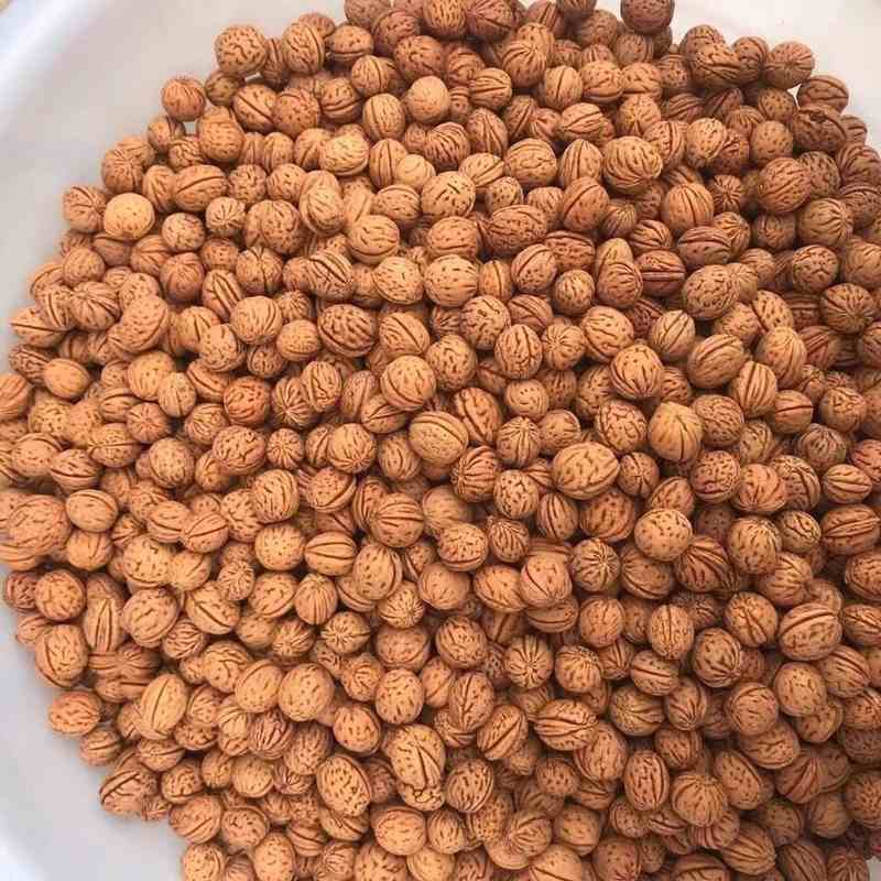 野生小桃核拍打袋专用山核桃健身摔打袋胡桃拍背神器原料疏通经络