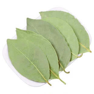 精品香叶 香桂叶 川菜烧卤菜炖肉 调味香料火锅底料 卤料烧烤调料
