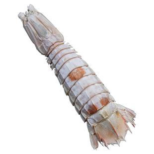 温州洞头特产皮皮虾干虾姑干濑尿虾爬子渔民自晒海鲜干货零食即食