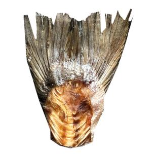 一家小宠自制烘干三文鱼尾泰迪狗狗宠物零食洁齿磨牙棒狗补钙幼犬