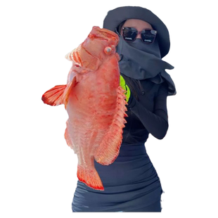 三亚万宁纯海钓煮鱼钓鱼艇近海远海海棠湾拼船包船探测器夜钓西沙
