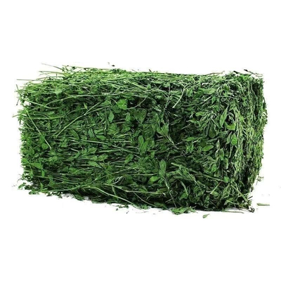 苜蓿草紫花苜蓿草饲料幼兔兔子草龙猫草荷兰猪草牧草兔粮毛重1kg