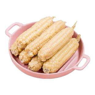 西双版纳香糯拇指玉米云南傣家小手指玉米婴儿宝宝辅食甜糯玉米