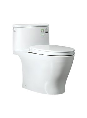 TOTO官方正品连体马桶CW887REB