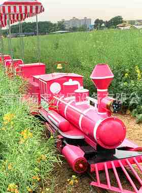 景区农家乐网红游乐设备坑爹过山车花海田园蒸汽有轨火车小型坐骑