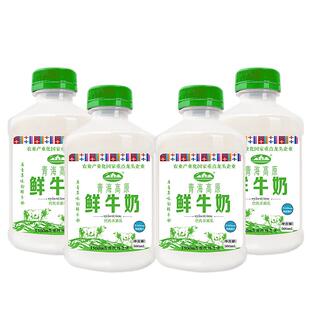 青海湖青海高原鲜牛奶500ml*4瓶巴氏杀菌低温纯鲜活青藏高原鲜奶