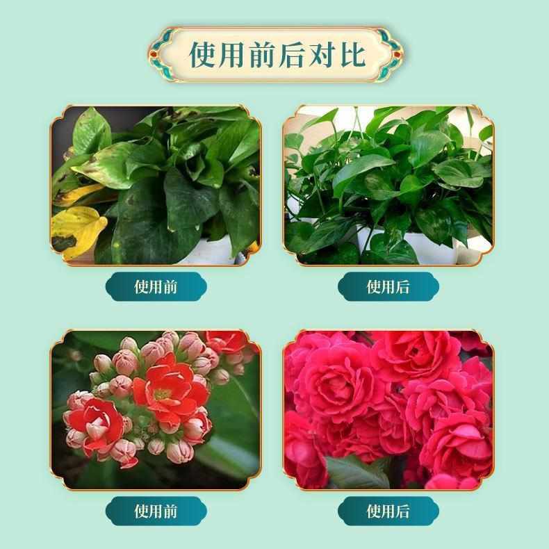 植物营养液通用型绿植僵苗黄叶急救土培水培盆栽花卉花肥液体肥料