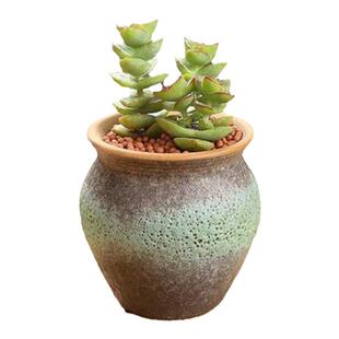 手绘多肉花盆粗陶复古拇指盆小号 迷你 包邮清仓特价室内创意简约