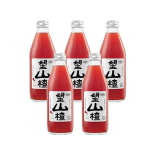 好望水望山楂汁气泡水饮料碳酸果汁汽水望杏福梅好5瓶