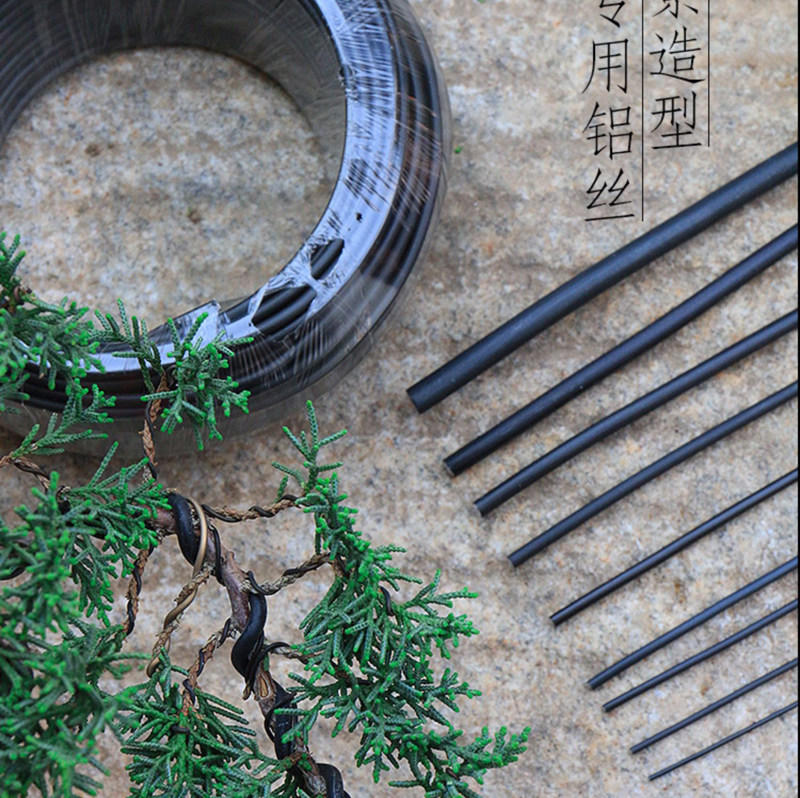 植物造型软铁线黑色盆景树枝苗木定型铁丝绑花多肉金枝玉叶盘扎丝
