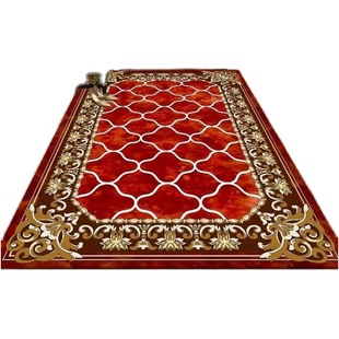 硅胶地垫防盗门玄关进户门防滑地垫超吸水卧室客厅厨房门口地毯