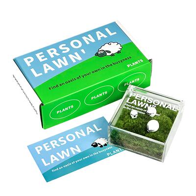 桌面苔藓微景观微观小绿植