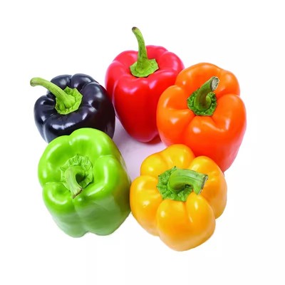 五彩甜椒种子四季阳台庭院盆栽