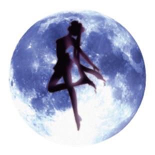 TLP反光贴 美少女战士 月野兔 月亮变身 Sailor Moon多用防水贴纸