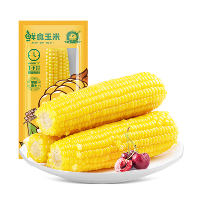 农垦雁窝岛东北糯玉米10支大棒