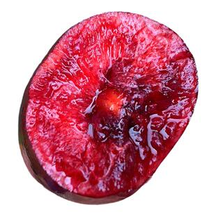 现摘当天发6J大连美早大樱桃车厘子脆甜新鲜孕妇水果包顺丰送礼果