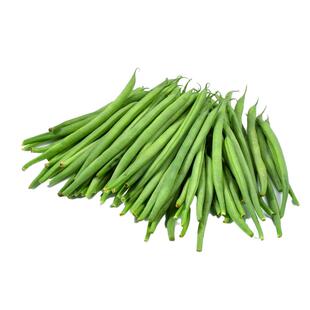 不搭架地豆种子高产豆角种籽大全刀豆无筋无架四季豆种孑春季菜种