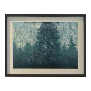 黑胡桃加厚画框立体标本中空相框定制装裱实木框diy打印照片挂墙