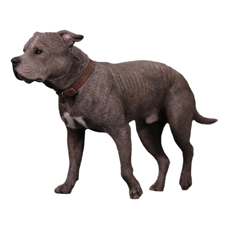 斯塔福梗犬模型仿真狗模型