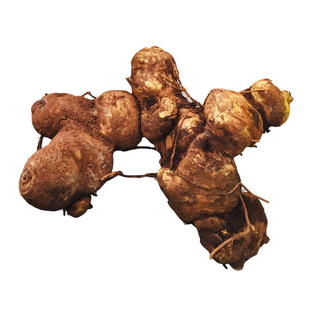 云南深山里的海拔两千米左右高山新鲜黄精煲汤吃很甜很滋补一千克