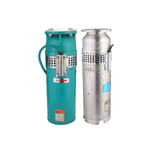 QSP不锈钢潜水喷泉泵QSP65-10-3喷泉专用泵景观变频泵喷泉水泵