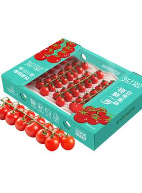 知翠樱桃小番茄即食多汁1kg