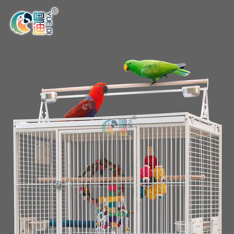 生产供应 便携式宠物笼 宠物展示笼 鸟笼 铁丝鸟笼 鹦鹉笼(8040)