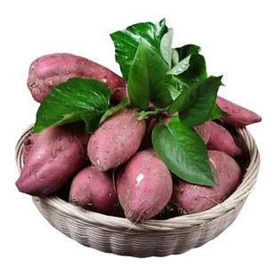 新鲜临安板栗红薯正宗天目山小香薯鸡蛋果圆番薯农家自种地瓜5斤