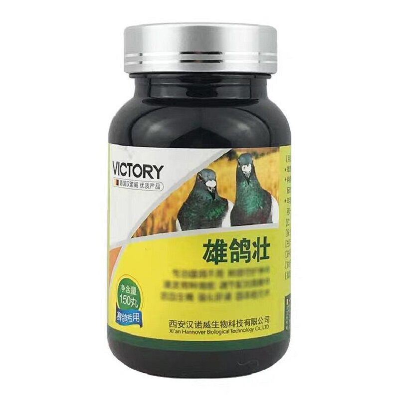 汉诺威受精丸调理宝鸽子信鸽种鸽