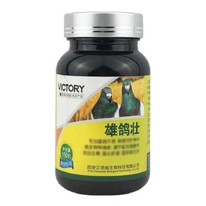 汉诺威受精丸调理宝鸽子信鸽种鸽