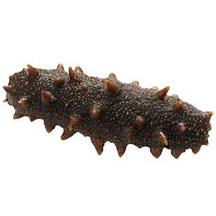 即食海参500g鲜食野生刺参7年独立包装礼品孕妇小米海参粥送干虾