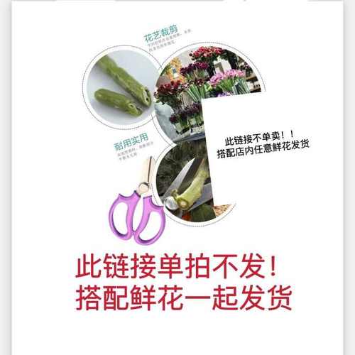 花艺师花剪刀修枝剪花艺剪花店专用修花剪子，此链接单拍不发！！