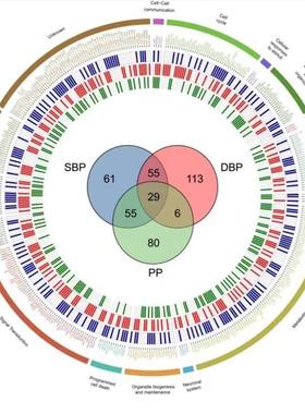 python代做代编程数据分析程序设计代跑pycharm一对一做flask后端