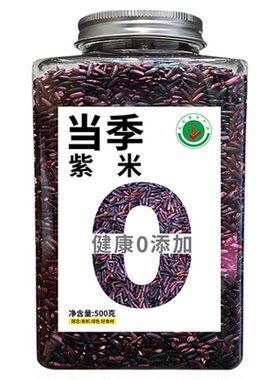 新疆紫米当季新米紫色大米粥米饭