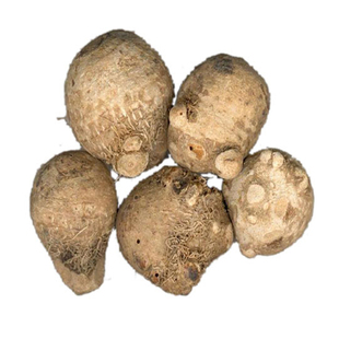 山皇草集 秦岭大巴山 泽泻 野生药材水泻水泽泽芝农家无污染250克