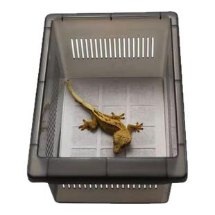 睫角守宫饲养盒网格压板R属守宫垫材无防布巨人盖勾亚守宫垫纸