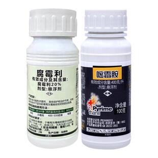 灰霉病专用药腐霉利嘧霉胺番茄黄瓜葡萄辣椒白菜油菜菌核病杀菌剂