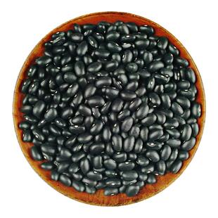 小粒大粒黑豆种子种籽杂粮春夏四季豆无架豆孑子四季高产黑豆种