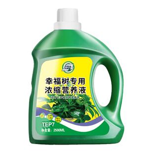 坤宁王幸福树专用营养液肥料专用肥治落叶掉叶子室内绿植养花花肥