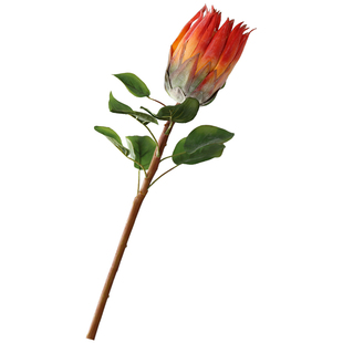 南非帝王花仿真花网红手捧花仿真帝王花公主花婚庆花束干花装饰品