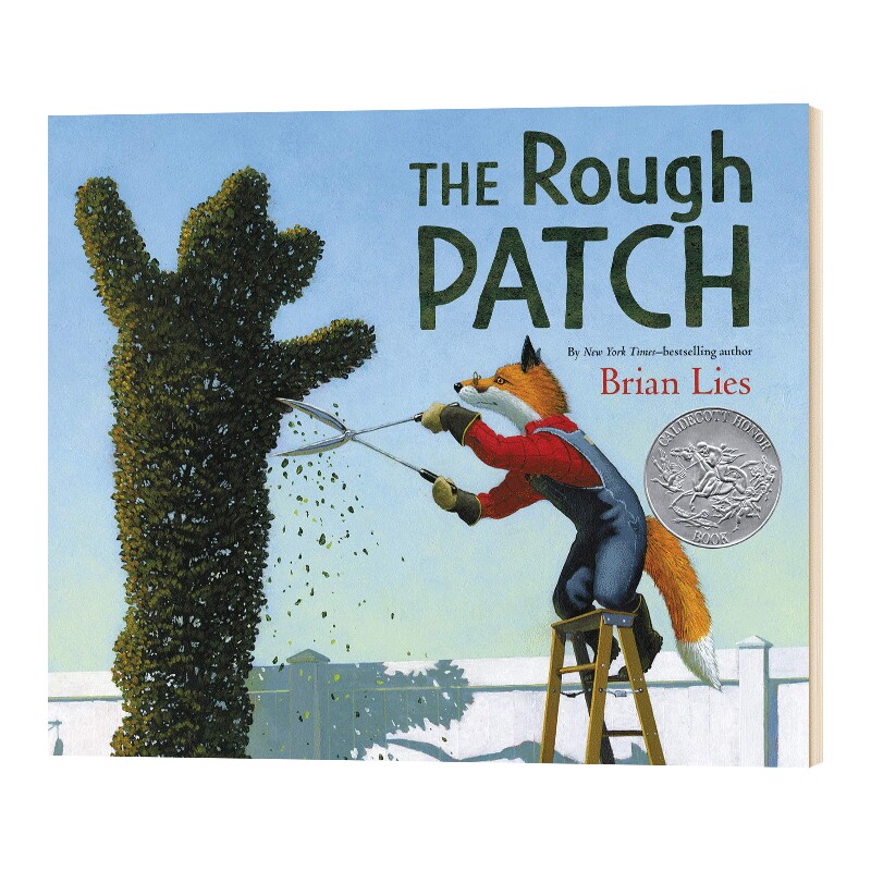 精装 英文原版绘本 The Rough Patch 粗糙的补丁 2019凯迪克银奖 英文版儿童图书
