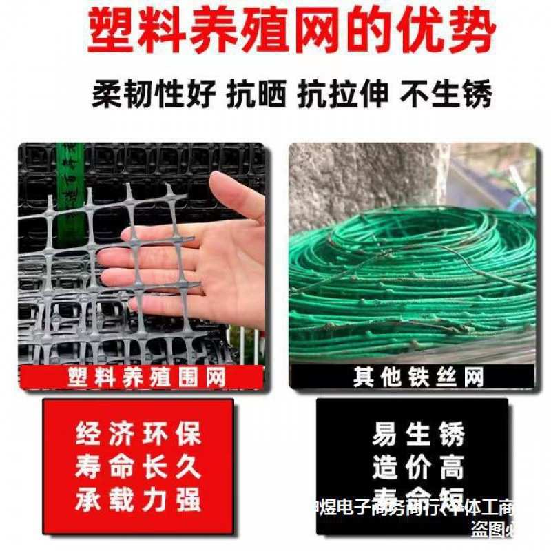 塑料围网养殖防护拦鸡鸭胶网家用菜园玉米护栏栅栏户外养鸡围栏网