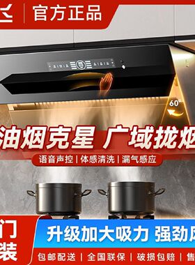 新飞大吸力抽油烟机家用厨房双电机排油机出租房小型侧吸自动开合