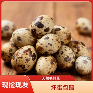 买40枚送10枚到手50枚新鲜鹌鹑蛋当日现捡到家可做辅食破损包赔