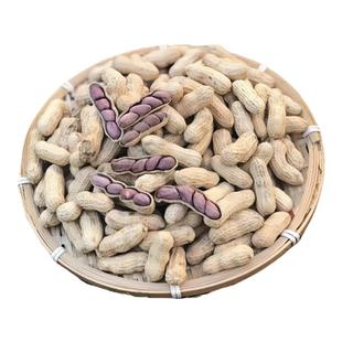 25年新货龙岩湿烤花生正宗福建特产连城紫衣带壳水煮花生炒货零食