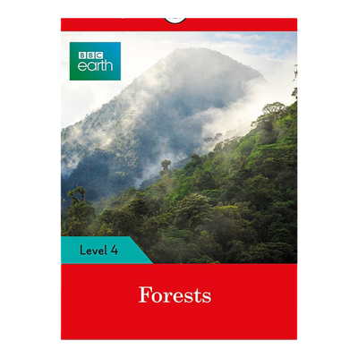 BBCEarthForestsLadybird