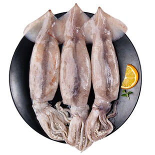 鱿鱼鲜活冷冻新鲜超大鱿鱼尤鱼整只海捕船冻烧烤铁板商用海鲜水产