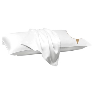 桑尚真丝枕套桑蚕丝单个装2025年22姆米单面枕头套轻奢高端礼物