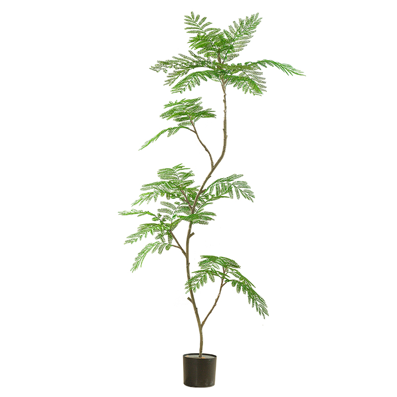 高颜值客厅绿植推荐-仿真蓝花楹