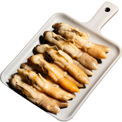 大连特大号蛏子肉鲜活竹节蛏圣子冷冻蛏王肉新鲜海鲜竹蛏肉蛏子肉